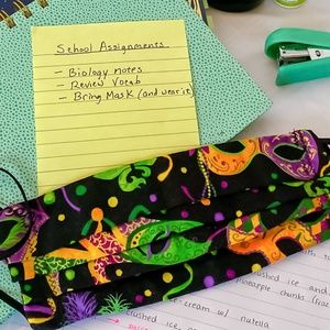 Mardi Gras Style Pleated Cloth Face Mask